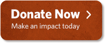 Donate Now Make an Impact