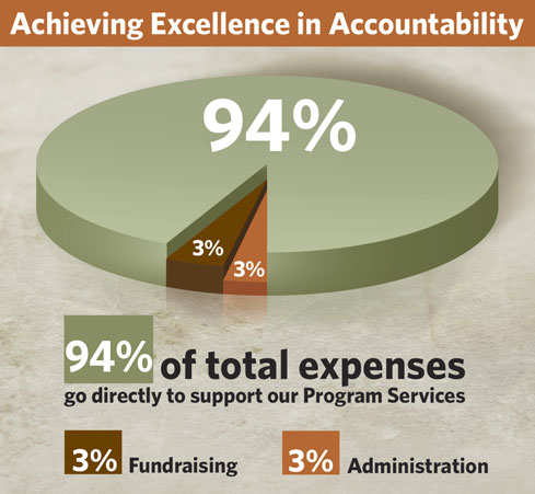 Love A Child Financial Accountability Pie Chart - 2017 Audited Expenses Love A Child Financial Accountability Pie Chart - 2017 Audited Expenses