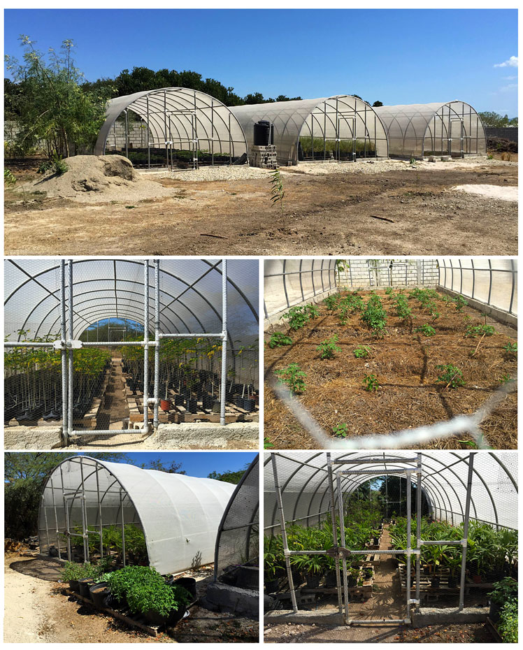 A Success Story. This is part of our Agricultural Training Center in which we thrive 02-19-2015 – 11:14 AM