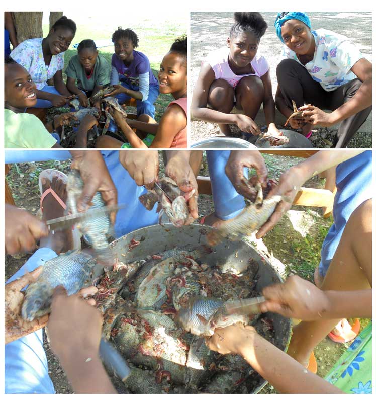 Something “fishy” at the LAC Orphanage: 4.1.2015  3:30 PM