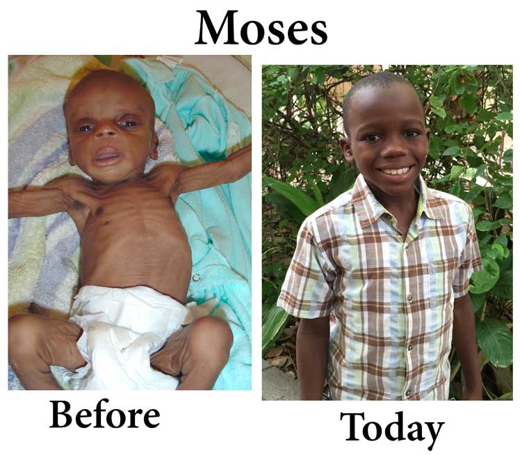 Moses Update – 02-03-17