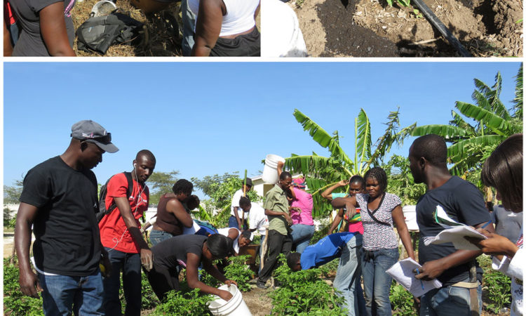 Love a Child - Agriculture Training Center - Improving Haitian Soil