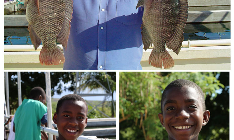 Love A Child's Tilapia Fish Farm in Haiti