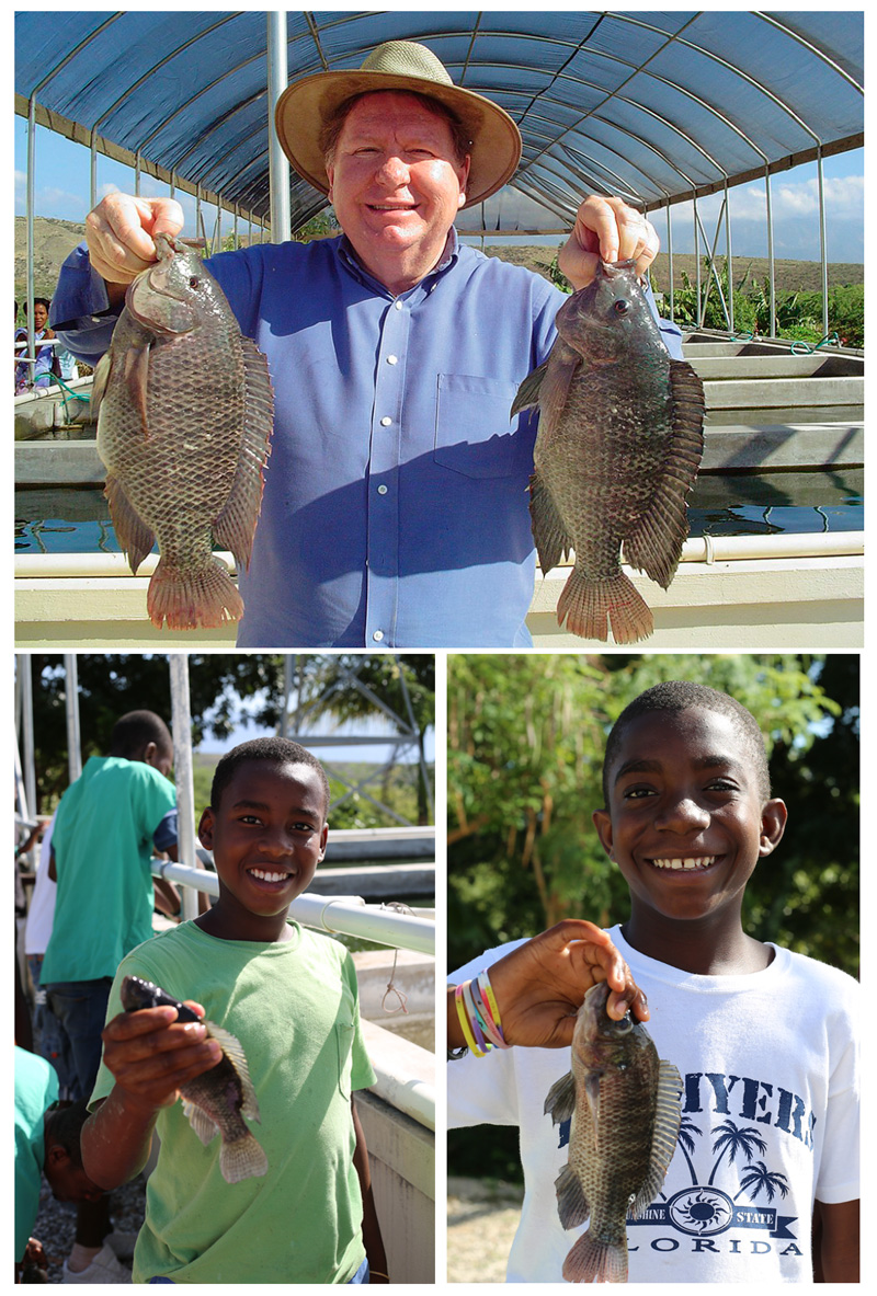 Tilapia Fish Farm:  1-15-16  11:45 AM