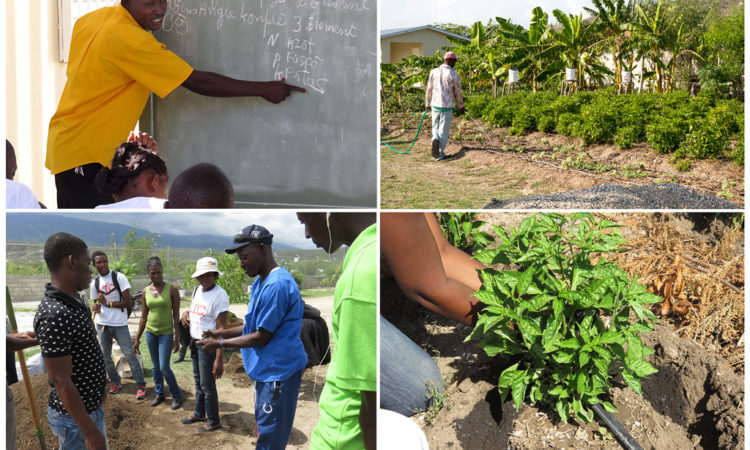 Agricultural Training Center Haiti