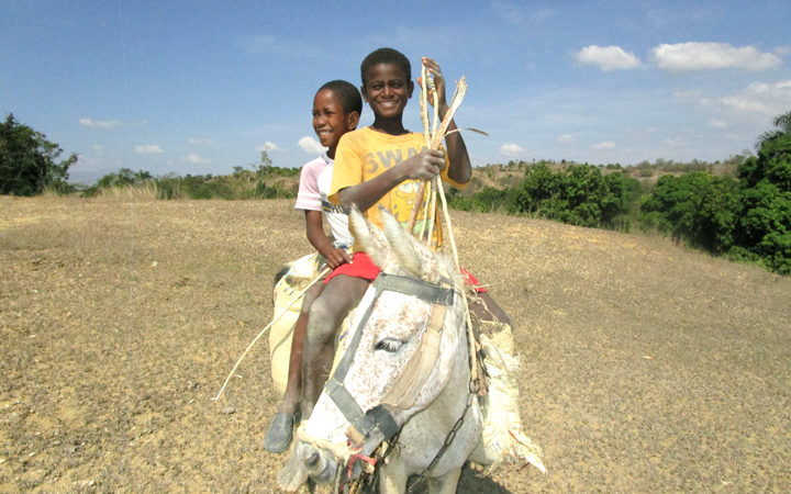 Feeding Poor Haitian Children