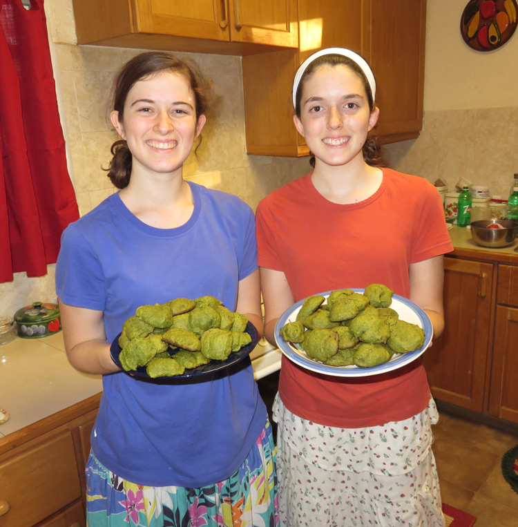 Moringa cookies:  3-13-16  8:00 AM