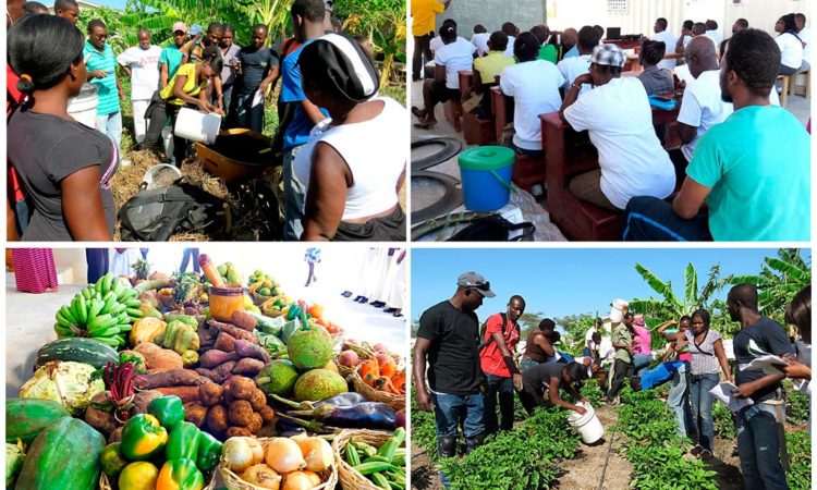 Agricultural Training Center in Haiti