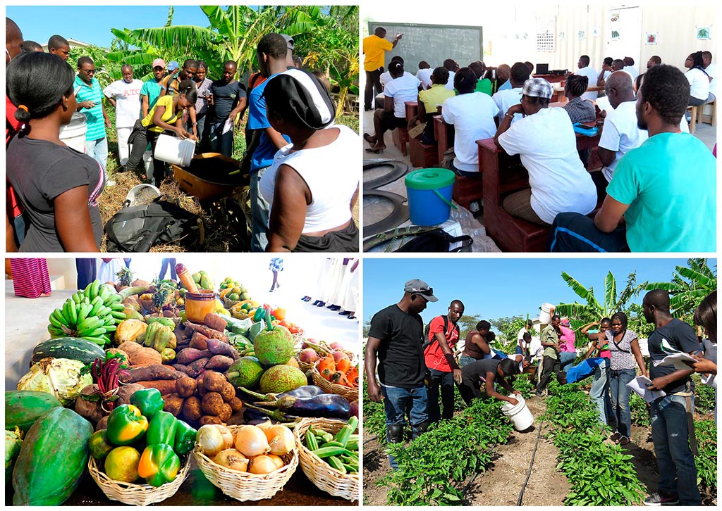 Learn more about our Agricultural Training Center – Read Sherry’s Journal today:  3-29-16