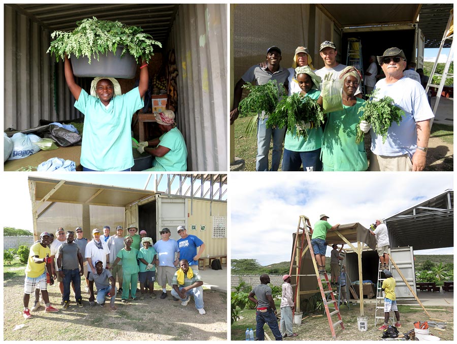 Increase in Moringa Production:  3-15-16  10:30 AM