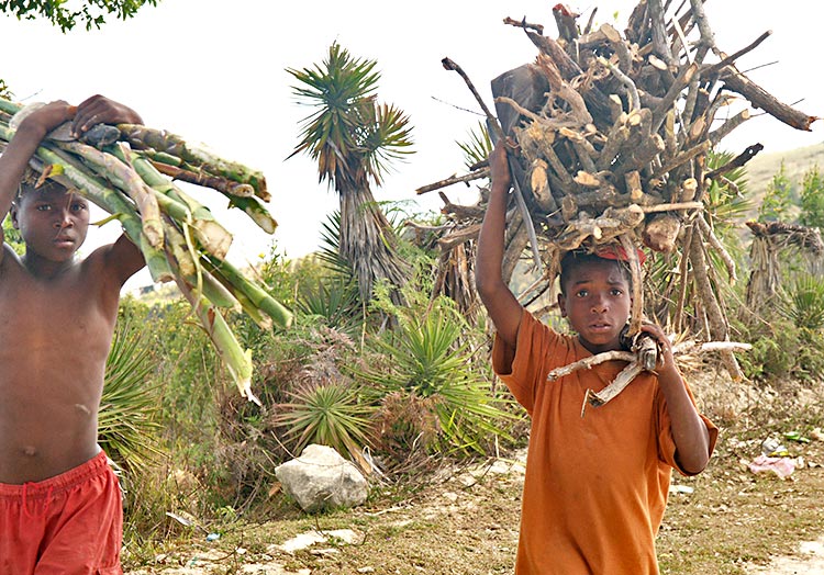 Poor children-carrying wood to sell.