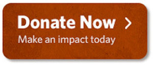 Donate Now - Make an impact today.