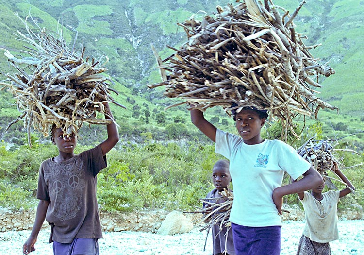 Deforestation of Haiti - Haitian family carrying wood to make charcoal.