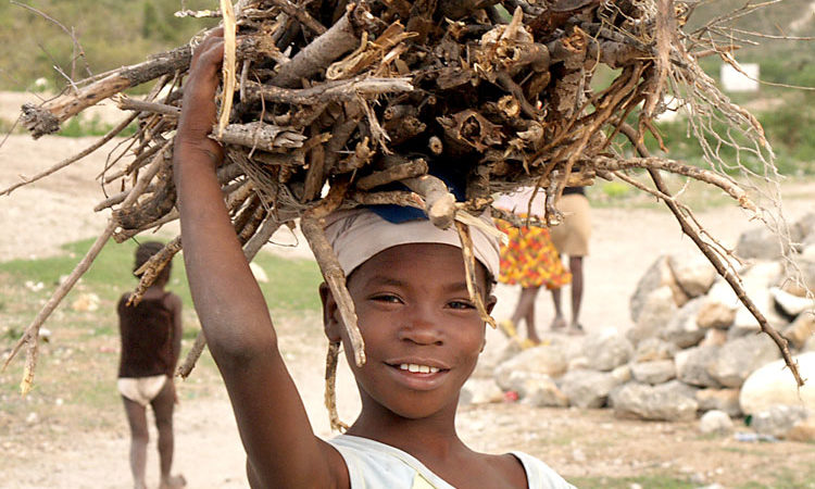 Reforestation in Haiti - Love A Child