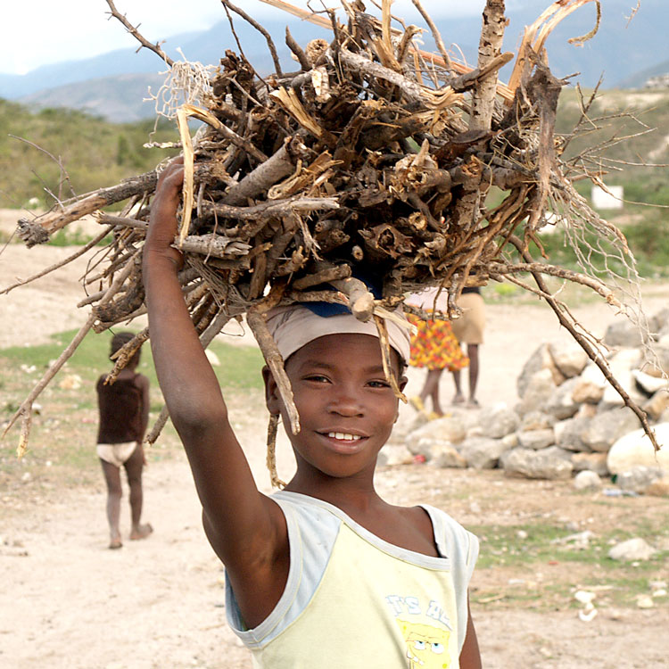 Read about the deforestation of Haiti in Sherry’s Journal today: 5-3-16  11:15 AM