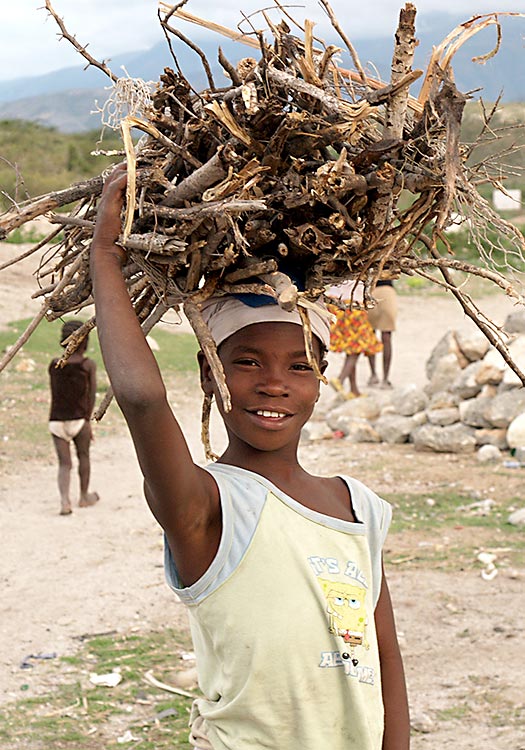 Deforestation of Haiti - Girl carrying wood for cooking charcoal.