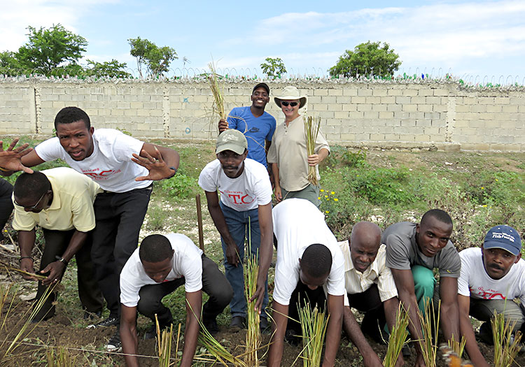planting Vetiver grass that will greatly reduce erosion