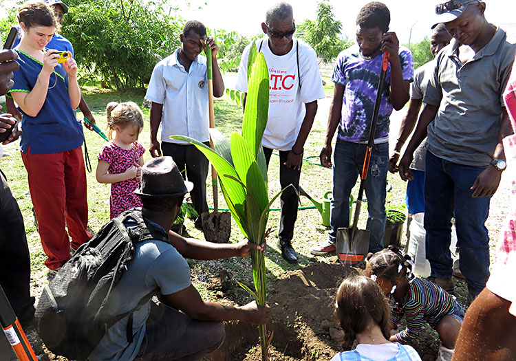 Planting trees in Miracle Village and in Fond Parisien.