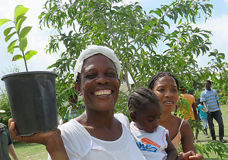 Haitian woman and child planting a tree.