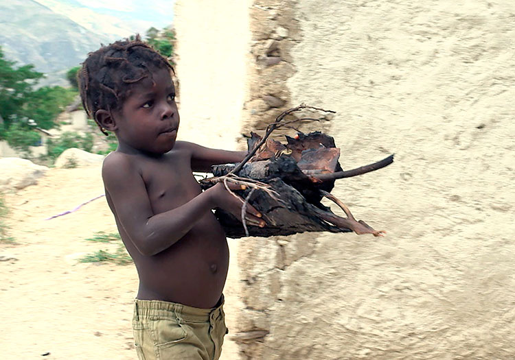 Young boy carrying wood each day in Haiti.