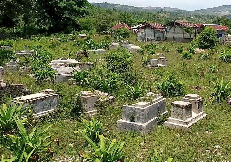 Cemetary filled with little coffins.