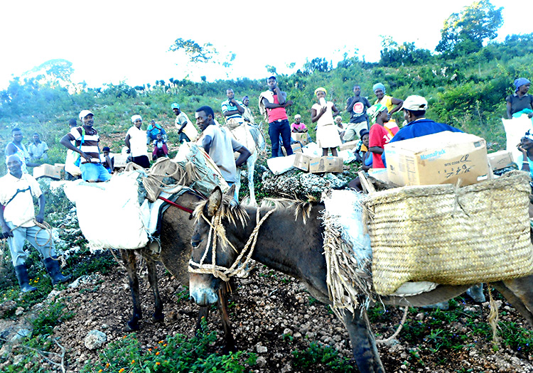 Loading up donkeys to carry food and supplies up the mountain of Peyi Pouri