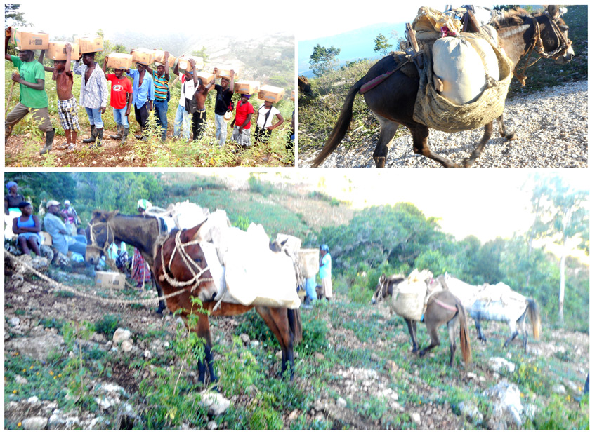 Food Distribution in Peyi Pouri:  11-6-16  6:30 PM