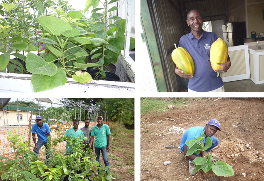 Agricultural Training Center Plantings