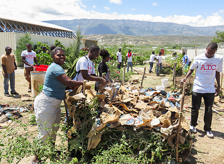 Haitians making a composte pile