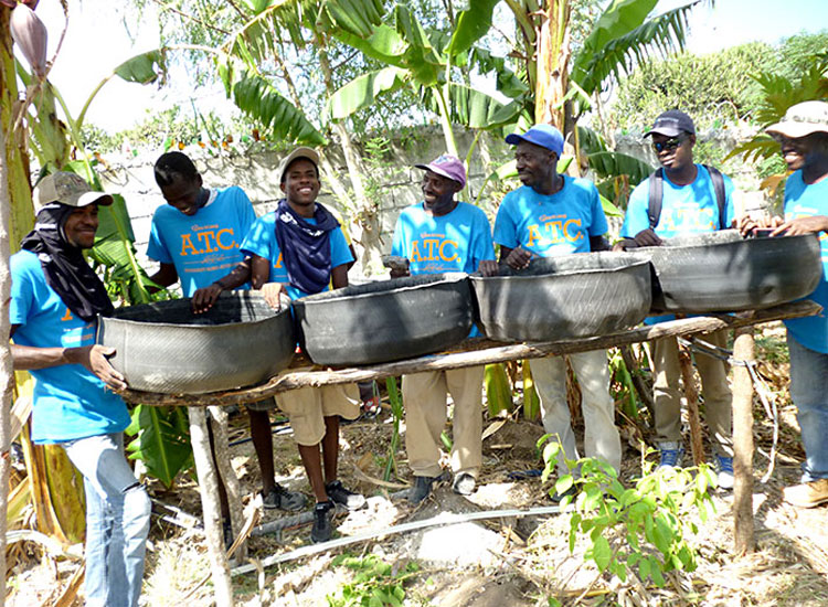 Haitians can utilize the good soil that can be made from composting.