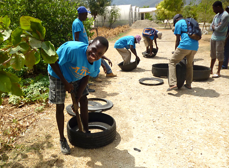 We re-purpose old tires, turning them into fruitful gardens.