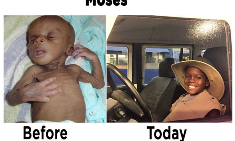 Update on Moses