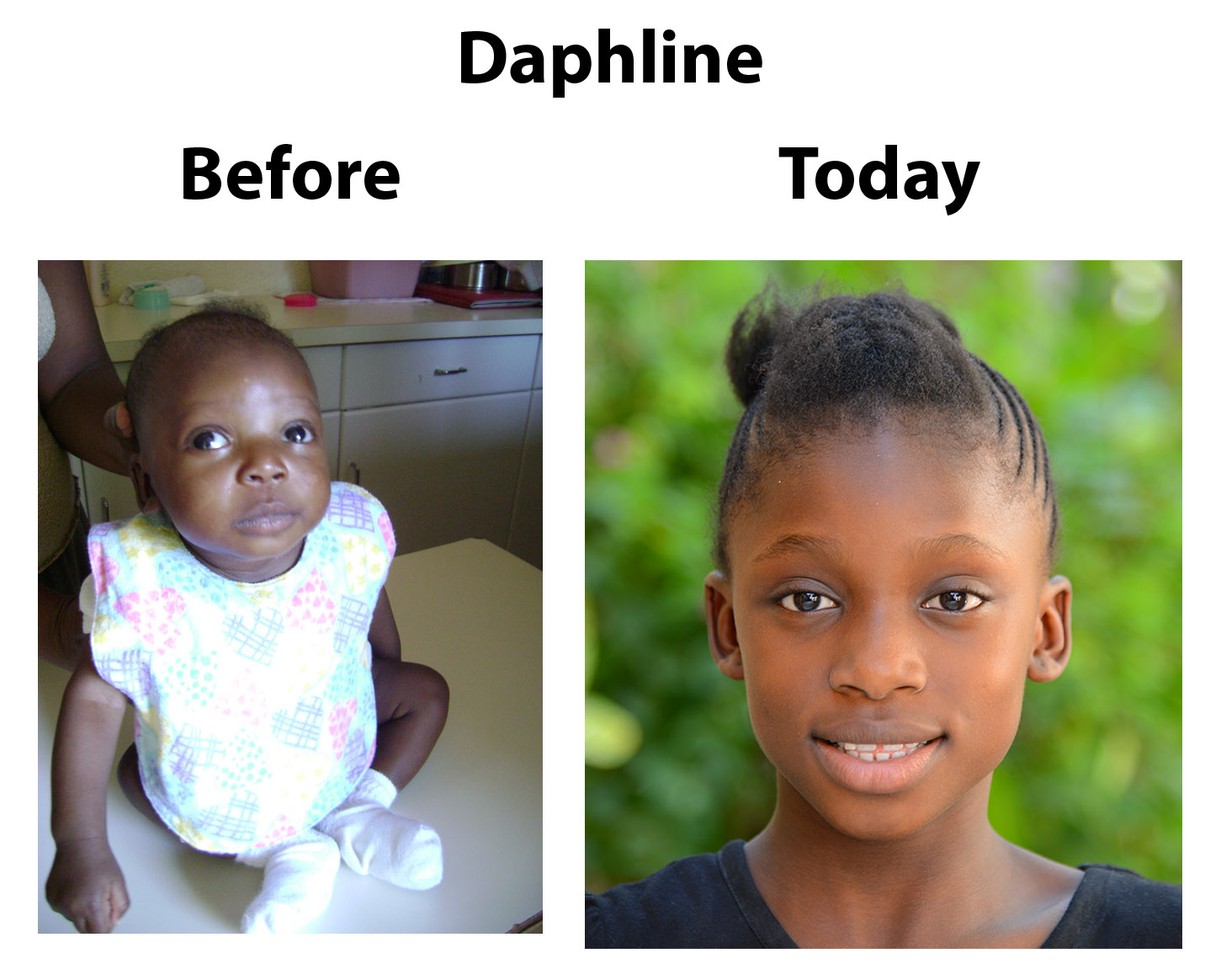 Daphline Update