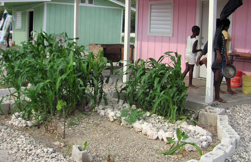 Garden plots to grow corn, other vegetables, and fruit to feed their families.