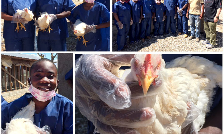 Poultry Management Classes