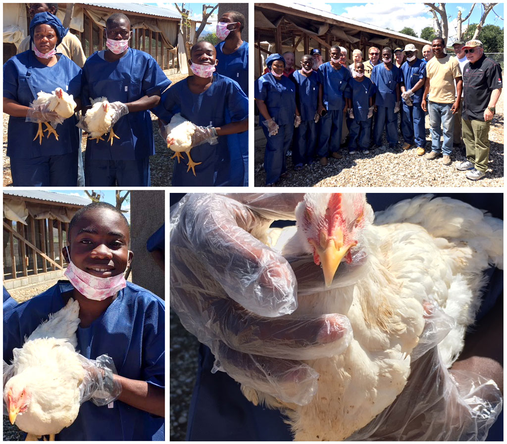 Poultry Management Classes:  2-28-18   5:10 PM