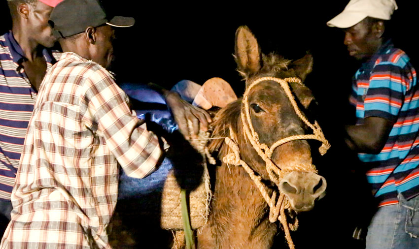  The people who live up in the mountains have to walk for several hours to come down with their donkeys to pick up their food. 