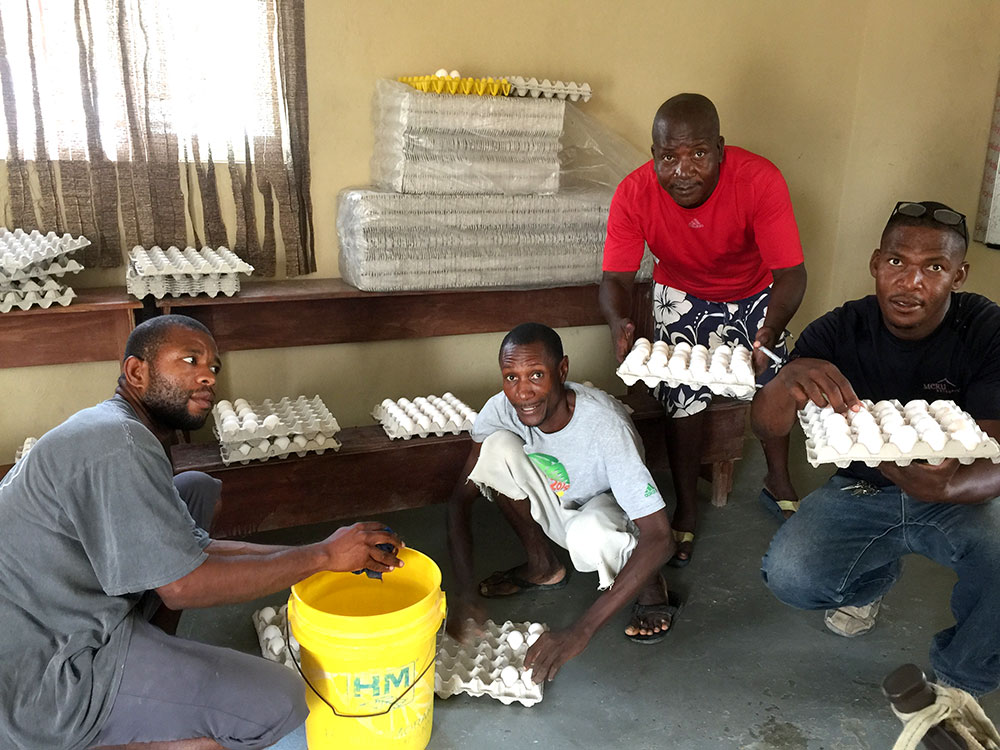 Note from Poul Mirak Chicken School:  7-12-18  2:30 PM