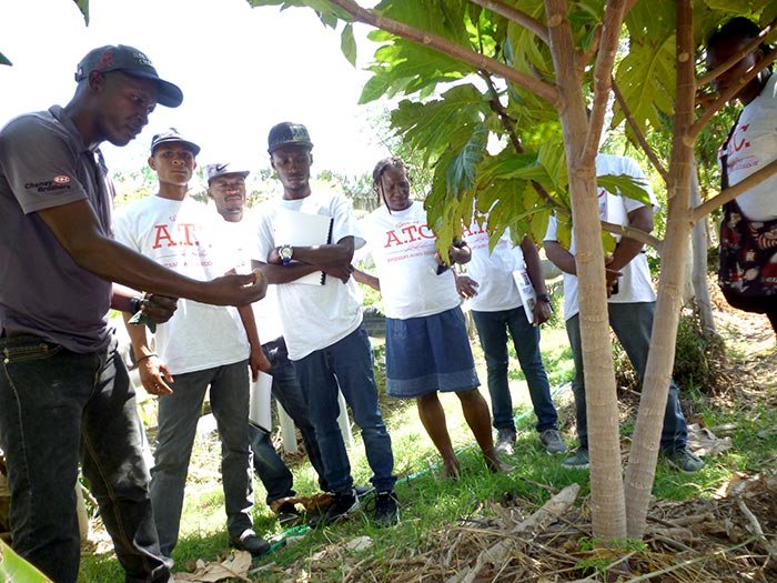 More Classes in Sustainable Agriculture:  8-9-18  11:55 AM