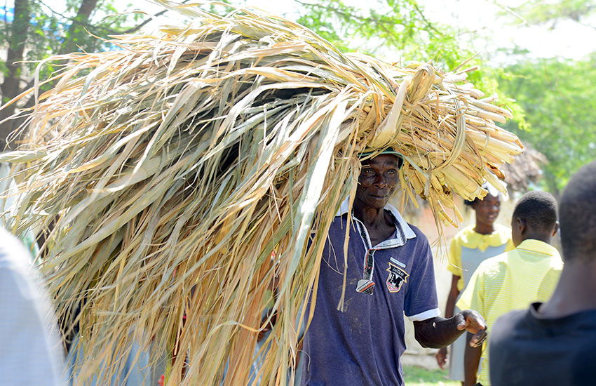 Now local farmers still grow sugarcane as independent farmers, and they sometimes sell their cane in local markets.