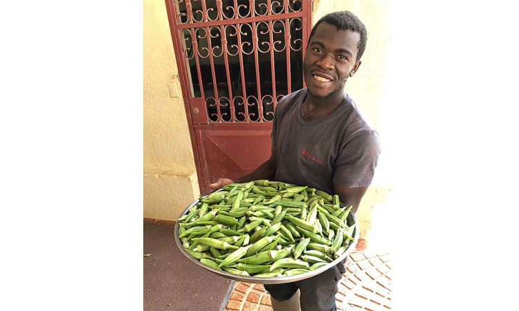 Growing Vegetables