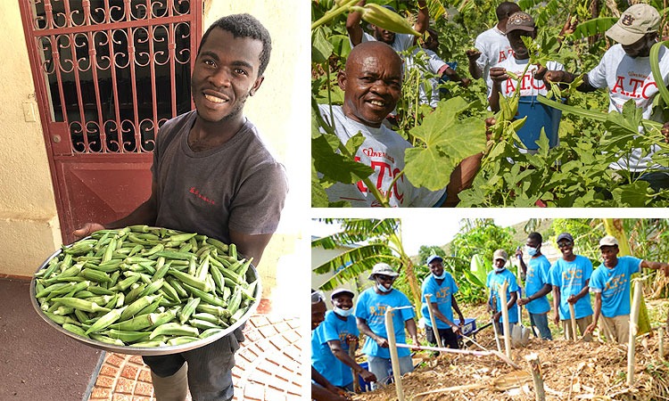 A Harvest of Okra… and Souls