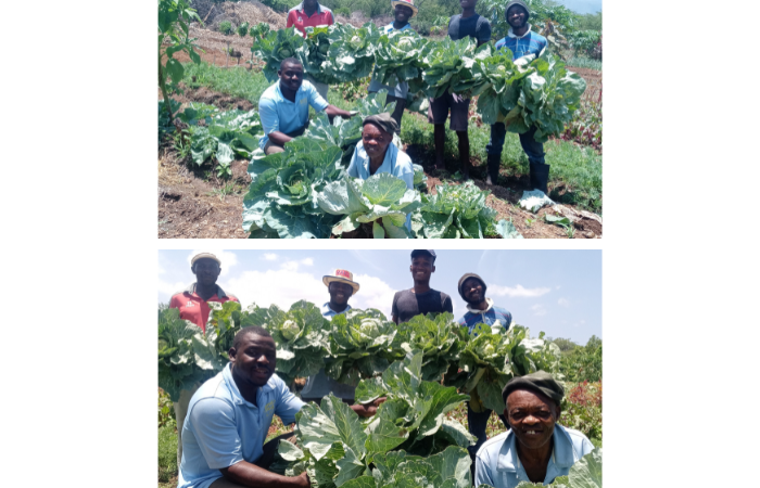 From Seed to Harvest: Joy and Blessings at the ATC