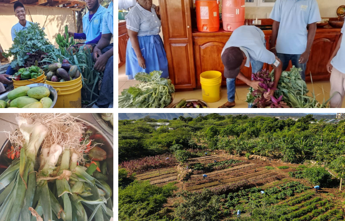 Sharing Harvests With Anyone in Need