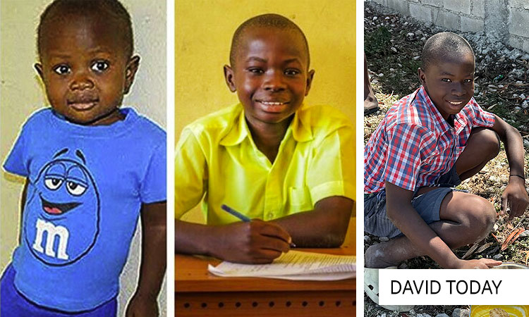 Ti David… “A Job for Life!”