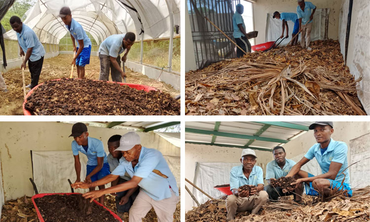 Compost… God’s “free” organic fertilizer