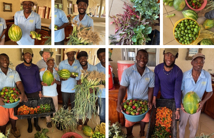 WONDERFUL HARVEST!
