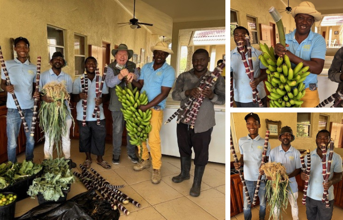 Latest News from the Mission Field