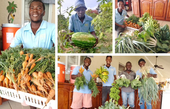 Hope & Harvest