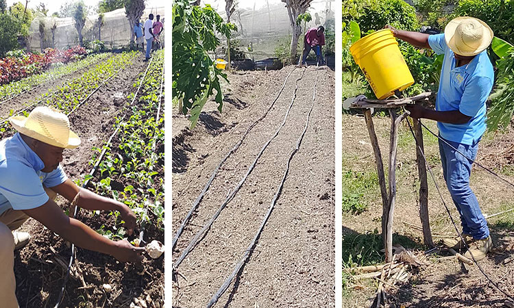 “Appropriate Technologies” Includes Appropriate Irrigation